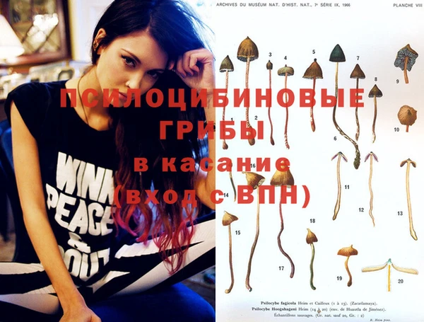 сатива Алексеевка