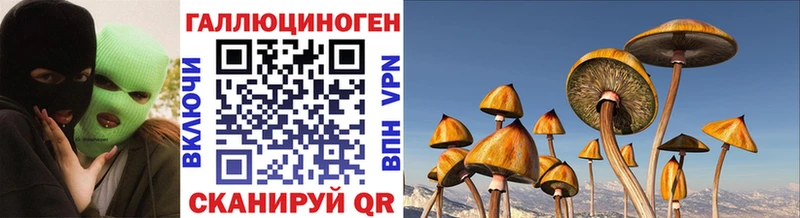 Купить  Венёв  Псилоцибиновые грибы ЛСД 